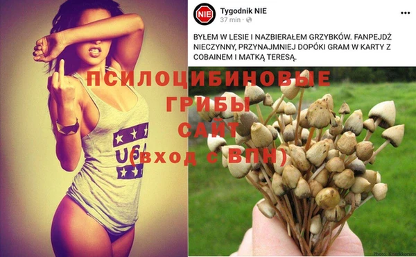 Альфа ПВП Алексин