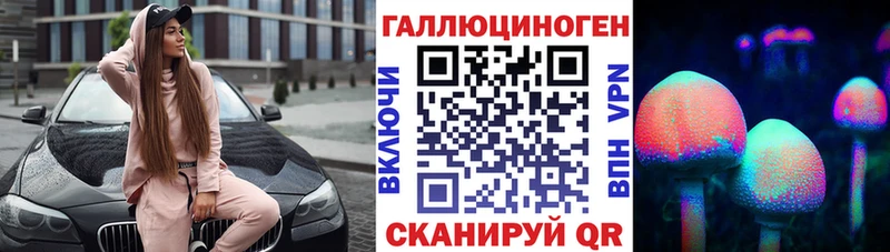 блэк спрут ссылка  Чулым  Псилоцибиновые грибы Cubensis 